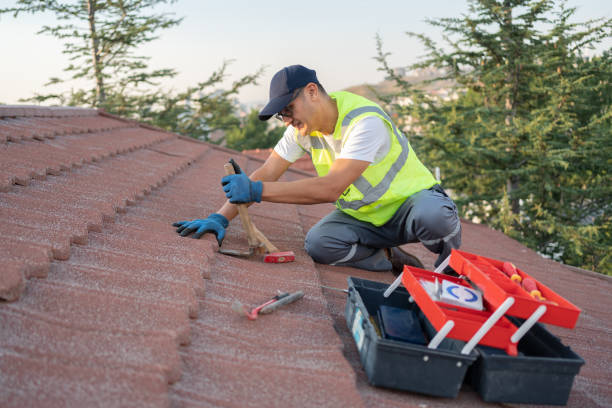 Best Tile Roofing Contractor  in Camden, AL