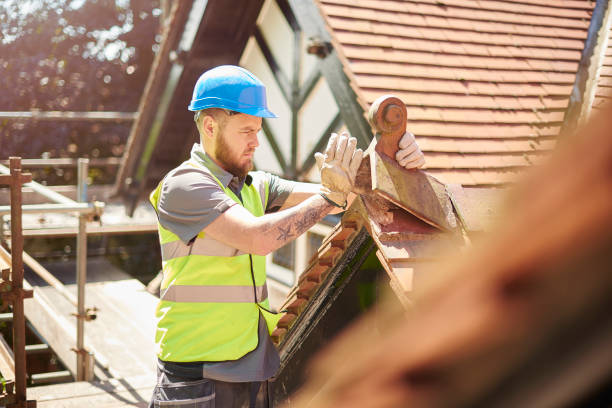 Best Best Roofing Contractors  in Camden, AL