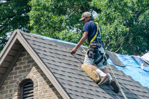 Best New Roof Installation  in Camden, AL